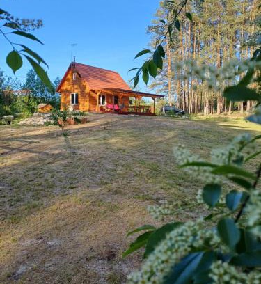 Bilgoraj House | Domek w lesie