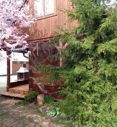 Stegna Cabin | Domki Muszelka