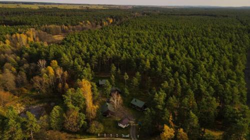 Susiec House | Domki Nad Tanwią