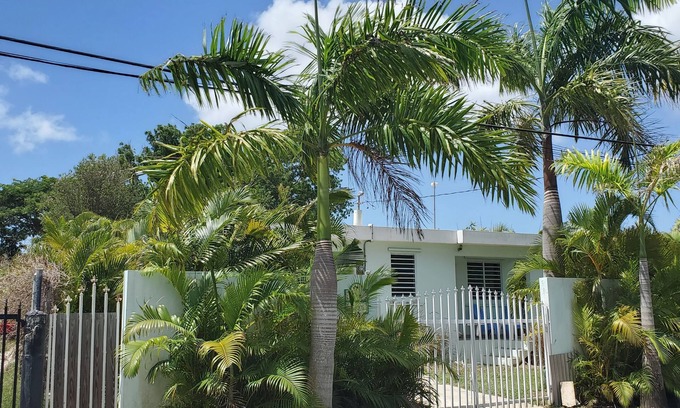 Bravos de Boston Cottage | "Dos Coquis" - Walk to the Beach with this perfect island home away from home!