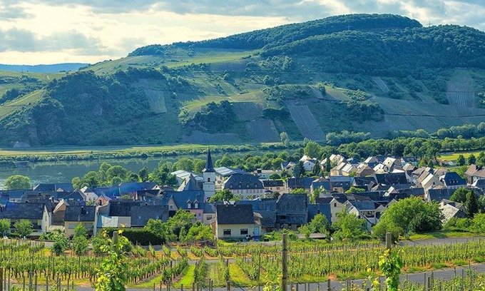 Wintrich House | Double room standard - Moselhotel Weinhaus Simon