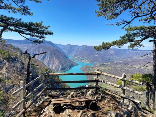 Tara National Park Apartment | Dren - Banjska stena