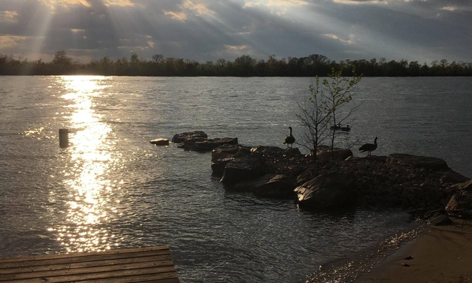 Amherstburg Cottage | Drifted Inn - Riverfront Cabin