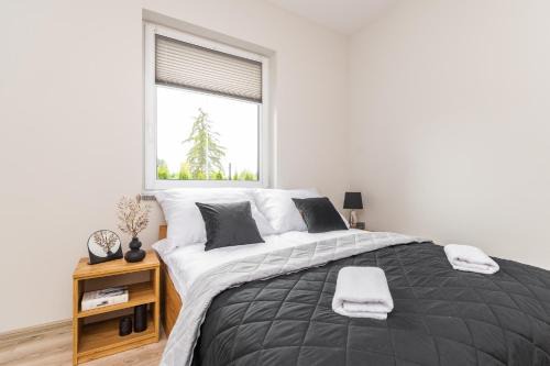 Mikoszewo Apartment | Dudówka