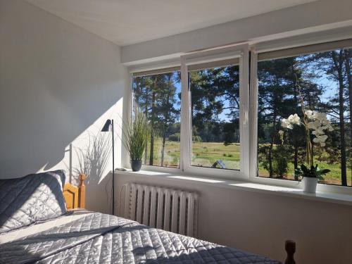 Druskininkai Apartment | Duplex Apartment Vilte
