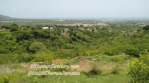 Albion Other | East Coast of Jamaica-Hiking and Camping
