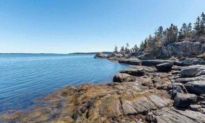 Halifax County Cottage | Eastern Shore Retreat: 9 Acres of woods & 1000 Feet of Private Oceanfront