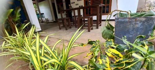Udawalawa House | Eco home stay and safari