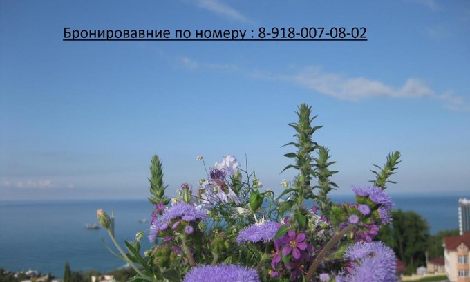 Golubye Dali House | Ecodom Alisa