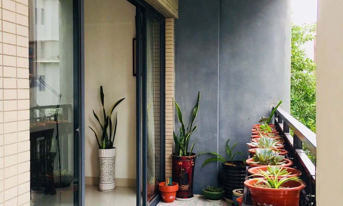 Haicang Apartment | Ecological Natural Home