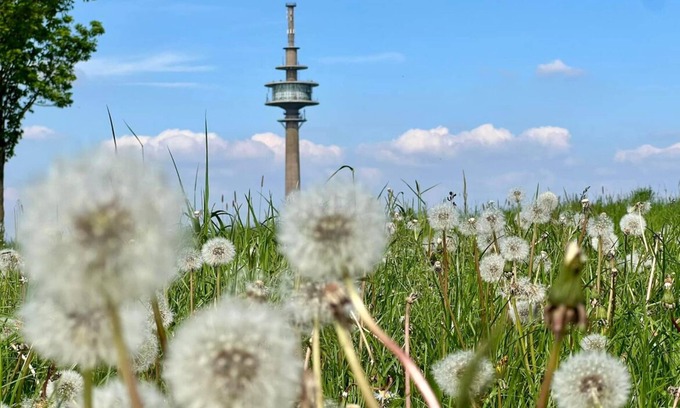 Huertgenwald Condo | Eifelauszeit - Auszeit ist Eifelzeit/bis zu 8 Personen + Kind + Vierbeiner
