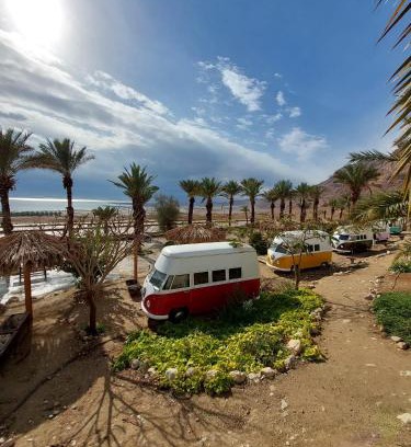Ein Gedi Other | Ein Gedi Camp Lodge