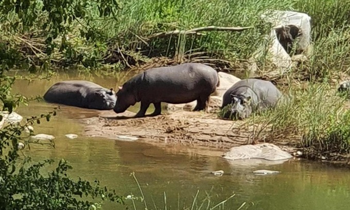 Maruleng Apartment | Ekuthuleni Hippo Rock