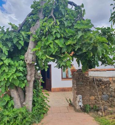Campofrio House | El Corral de la Higuera