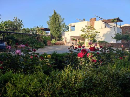 Fondon Villa | El Domingo en el Valle