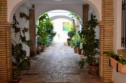 La Trinidad-San Juan y Todos los Santos Apartment | El Patio De La Aljama