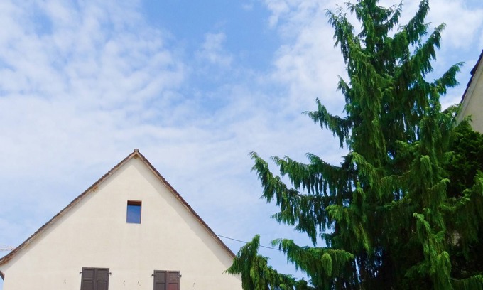 Sigolsheim Apartment | Electric bikes included in the price.