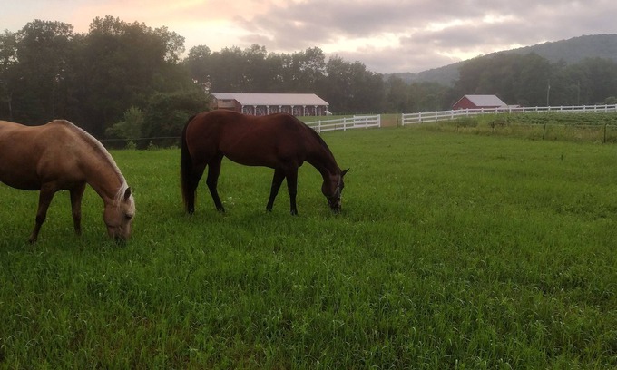 Cooperstown House | Elegant Country Retreat on Gorgeous Horse Farm, 10 min from Cooperstown! Rm #2
