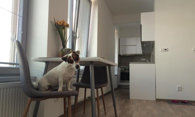 Kolin 2 Apartment | Elf
