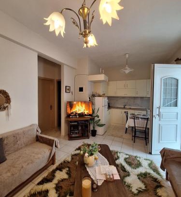 Kozani Apartment | Ellie's house