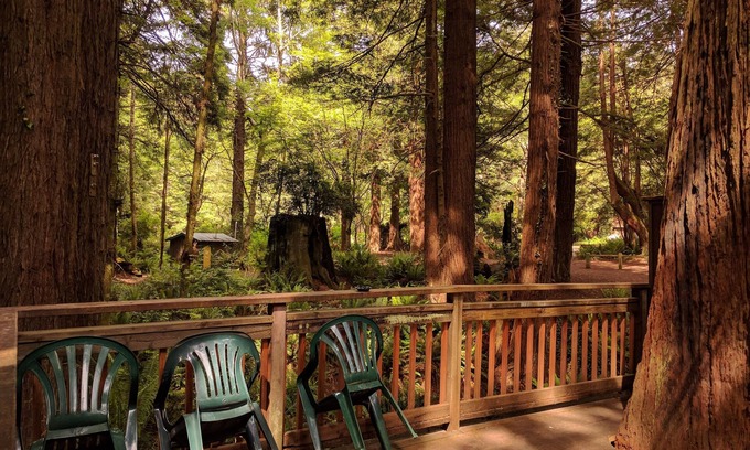Trinidad Cabin | Emerald Forest Cabins