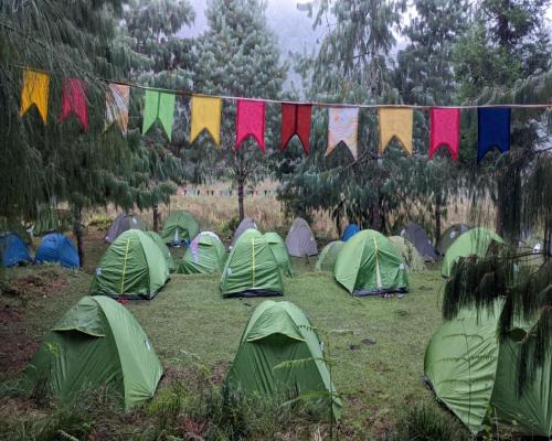 Ziro Other | Encamp Ziro Valley Camp