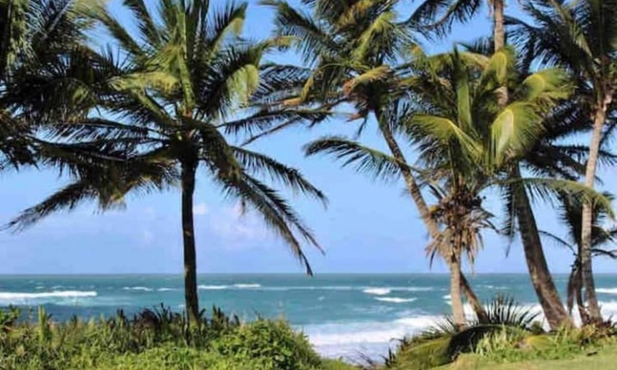 Hato Abajo Apartment | Enjoy beaches, water sports, nature & more!