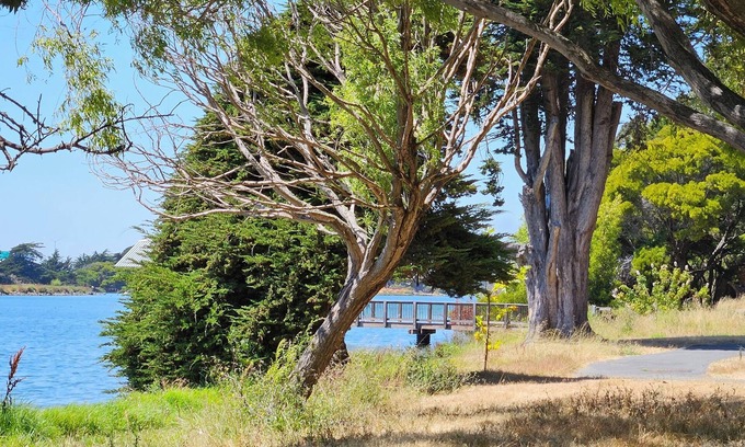 San Francisco Apartment | Enjoyable 1-bedroom in Emeryville, Marina views.