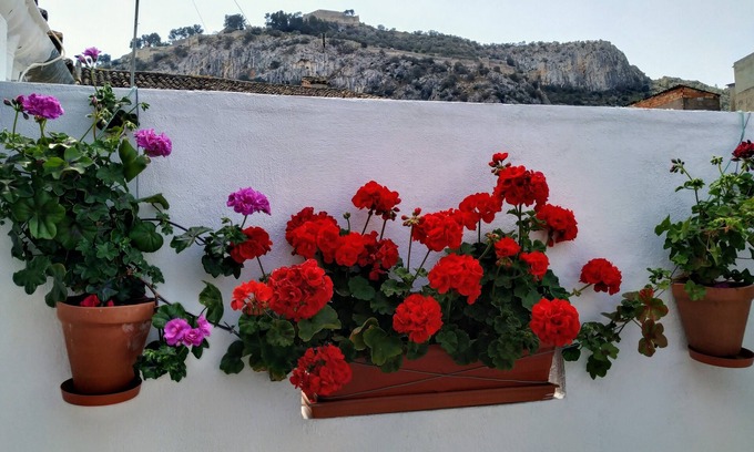 Xativa Apartment | Entire apartment in El Casco Antiguo
