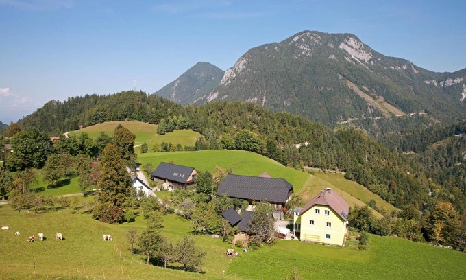 Zell Apartment | Erlebnis Bienenapartment Adamk