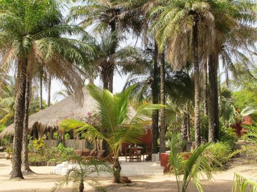 Casamance Hotel | Esperanto Lodge