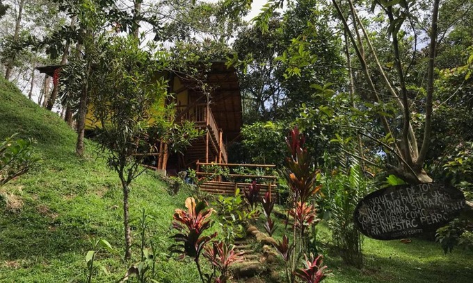 San Rafael Bed & Breakfast | ESTACION PARAISO DE DANTAS