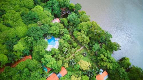 Tortuguero Cabin | Evergreen Lodge
