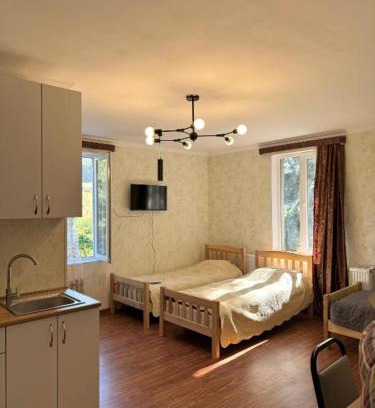 Tsromi Hotel | Evergreen Surami Hotel