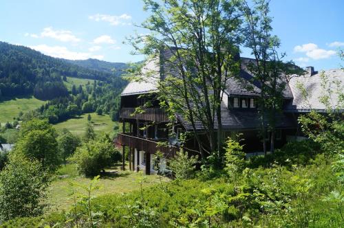 St. Blasien Apartment | Familien-Sportappartements Wetzel