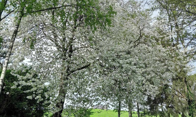 Pepinster House | Family country house in one of Wallonia's most beautiful villages
