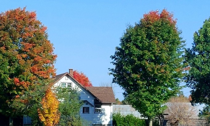 Bonnechere Valley Other | Family Farmstay Adventure – Rural Escape with Farm Fun & Space to Explore!