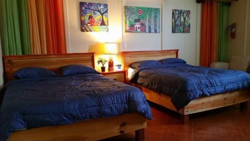 Terranova House | Family Guest House