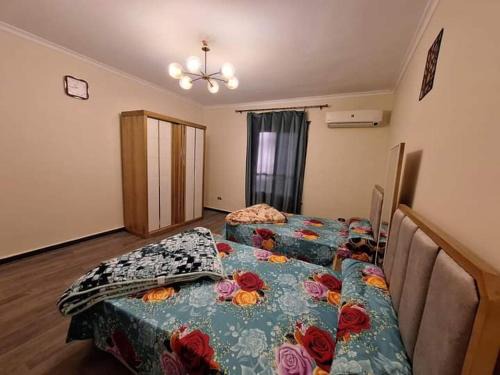 Ma'an Apartment | Family house
