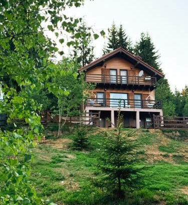 Muntele Baisorii House | Family Nest Baisoara perfect for families