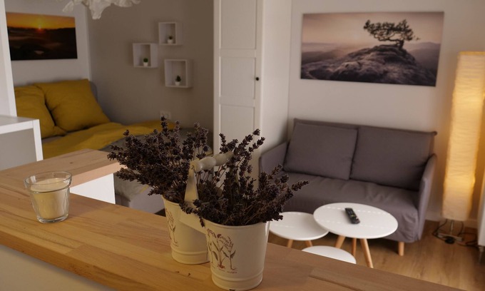 Pirna Apartment | Fantastic apartment in a prime location near Dresden at the gateway to Saxon Switzerland