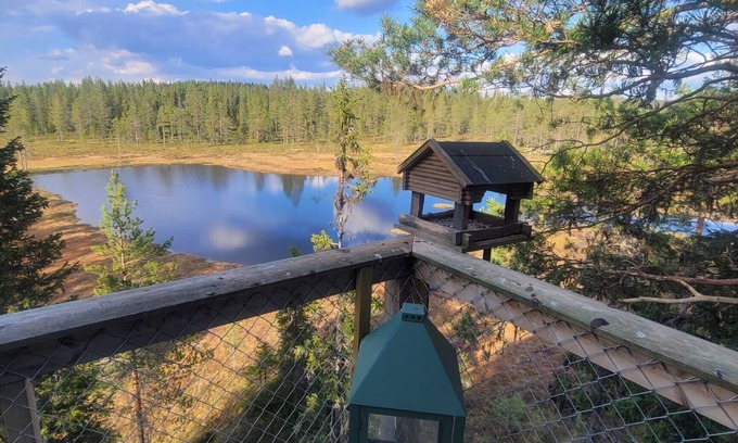 Trysil House | Fantastic Experiences, Wooden Cabin – A Serene Escape in Trysil Forest