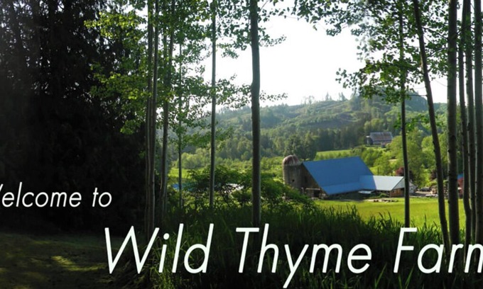 Oakville Other | Farm and Forest Eco-Retreat Sanctuary Wild Thyme Farm