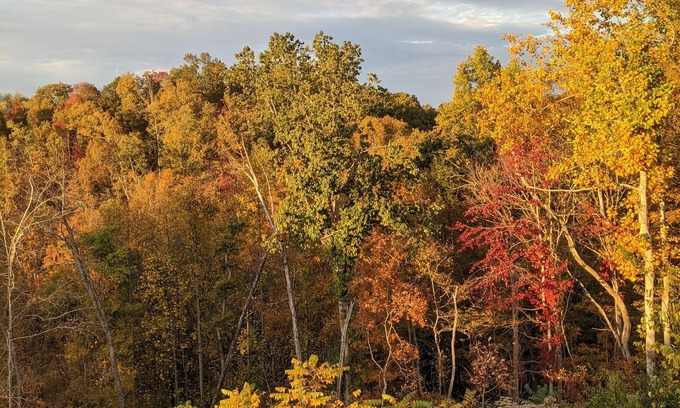 Whites Creek Apartment | Farm Apartment - 10 minutes to downtown Nashville