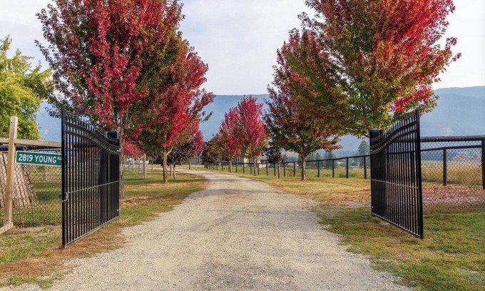 Armstrong House | Farm estate, trampoline, goat yoga and feed the farm animals!