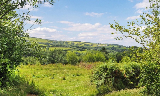 Llanybydder Cottage | Farm House - UK50262