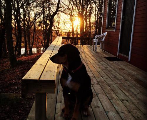 Veberod House | Farm Stay Happy Dogs Ranch
