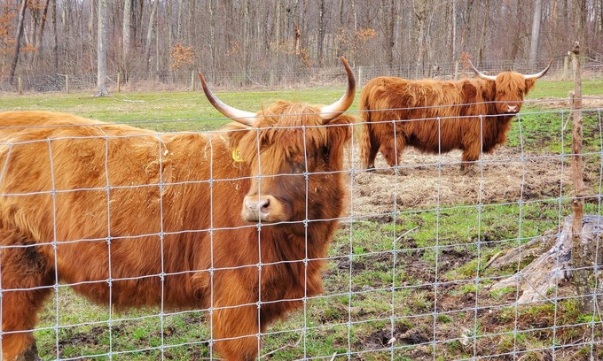 Kossuth Apartment | Farm Stay -Hideaway Haven Farm