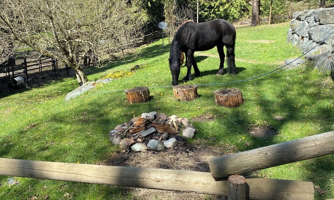 Sardis Other | Farm Therapy in a beautiful setting. Pet friendly.