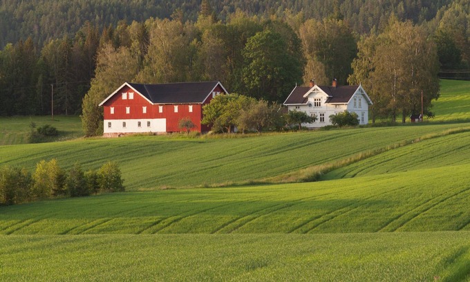 Nome Other | Farmhouse from the turn of the century with wood fired pizza oven